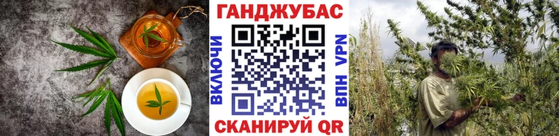 Cannafood марихуана  omg ТОР  Адыгейск  купить наркотики цена 