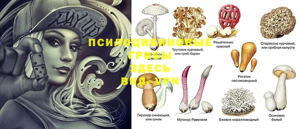 гашиш Новозыбков