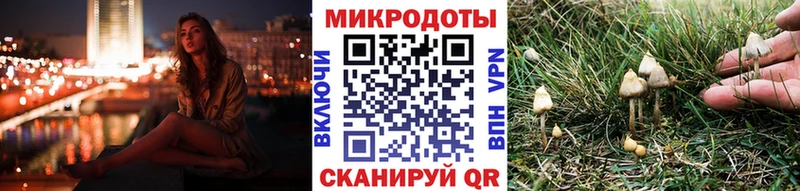 Псилоцибиновые грибы Psilocybine cubensis  Адыгейск 